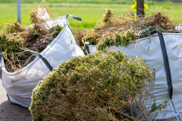 Best Affordable Junk Removal Services  in Montrose Ghent, OH